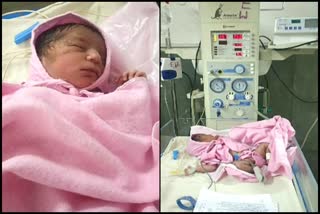 jodhpur news in hindi, rajasthan news in hindi, नवजात बच्ची मिली, सड़क किनारे मिला नवजात, जोधपुर की खबर, Newborn girl, Newborn girl in Jodhpur