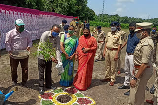 Forest Festival was celebrated