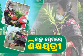 teachers-tree-planting-for-environment-its-own-initiative-in-anugul