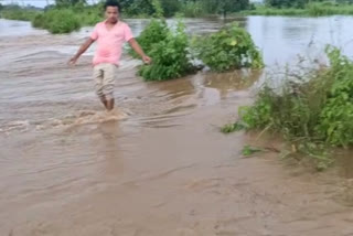 ಮಳೆಯಿಂದಾಗಿ ಹಳ್ಳಗಳು