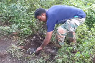 land mine discovered in manyam vizag district