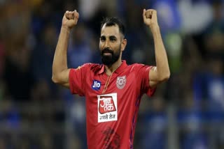 mohammad shami