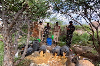 Police raids on local liquor in vinapadakallu at ananthapur district