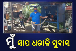 snakeman-subash-rescued-more-than-10-thousand-snake-till-now-in-nabarangpur