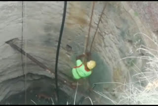 5 die trying to rescue calf from well