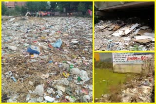 garbage in park  empty plot and under flyover in delhi