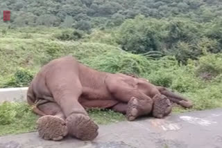 Elephant, Bulldozer , found dead in Sholayur,Palakkad