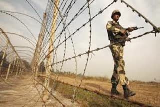 BSF killed two Pakistani intruders, श्रीगंगानगर न्यूज