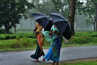 rain in raipur