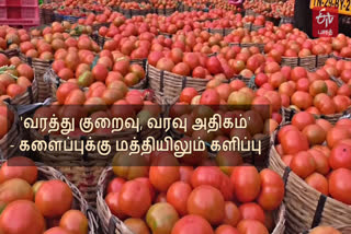 தக்காளி சாகுபடி