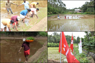 തരിശ് ഭൂമിയിൽ കൃഷി ഇറക്കി സി.പി.എം  സി.പി.എം  സുഭിഷ കേരളം പദ്ധതി  subhisha-kerala-project