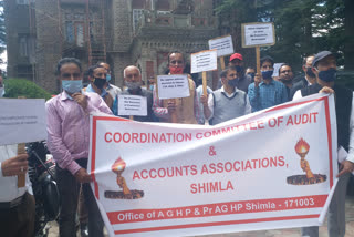 protest shimla