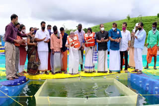 cage fish farming started at Banasura Sagar Dam  cage fish farming  Banasura Sagar Dam  ബാണാസുര സാഗര്‍ അണക്കെട്ട്  കൂട് മത്സ്യകൃഷി