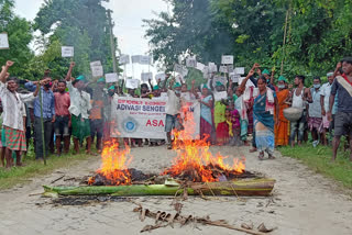 Advasi sengel protest at Baksa