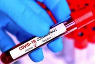 coronavirus positive in Kullu