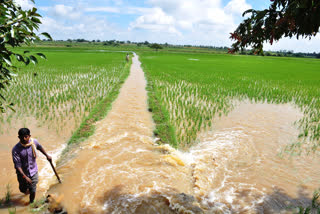 heavy rain fall in davanager