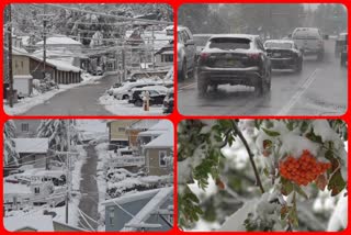 Late summer snow blankets parts of South Dakota and the storm hits Colorado, other western states