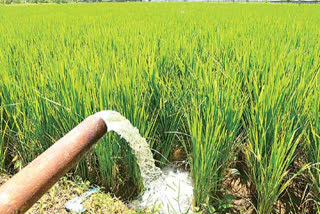 ikar guideline ton increase farmers income in ap