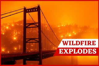 California wildfire