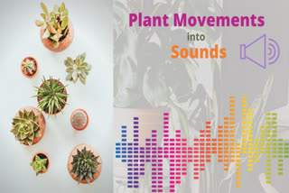 plant pathology virginia tech ,'the sound of plants dancing