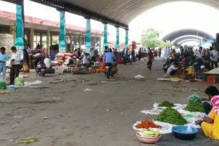 jaipur news, Incoming of vegetables, rain in Jaipur