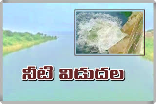 Sri ram sagar project five gates are lifted and water released