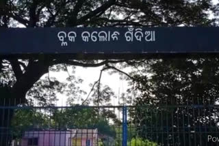 ବନ୍ୟାଞ୍ଚଳ ପରିଦର୍ଶନ କଲେ ବିଧାୟକ