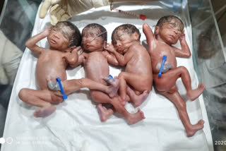 woman gave birth to four children