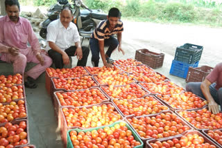 JICA  project Scheme benefits the farmers of Kahli village of Bilaspur