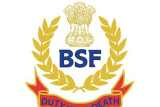 bsf