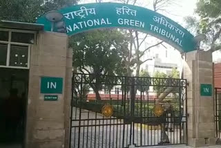 NGT orders Central Pollution Control Board to issue guidelines for disposal of cigarette and bidi butt in three months