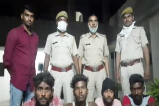 श्रीगंगानगर न्यूज, thief gang in Suratgarh