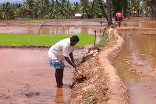 agriculture