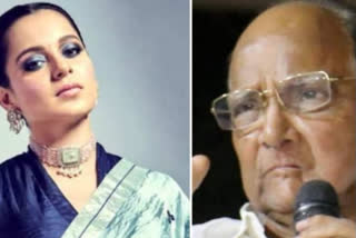 kangana, sharad pawar