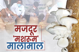 Mushroom Cultivation Training