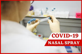 covid 19 nasal spray