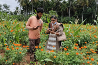 Chamarajanagar, a backward in crop survey