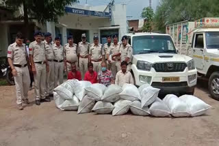 cannabis seized in Anuppur
