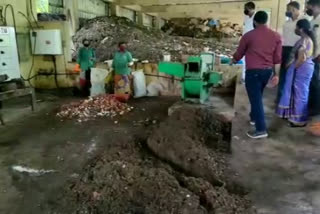 കണ്ണൂർ  kannur  വരുമാന മാർഗം  waste management plantation  തളിപ്പറമ്പ് നഗരസഭ  thalipparamp corparation  മാലിന്യങ്ങൾ  സംസ്കരണം  ജൈവവളം