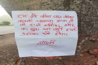 Naxalites spread panic by posters in dhanbad, naxal news of dhanbad, news of dhanbad police, नक्सलियों ने धनबाद में पोस्टरों से दहशत फैलाई, धनबाद में नक्सल की खबरें, धनबाद पुलिस की खबरें