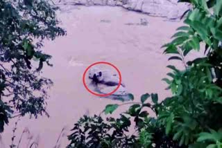 young man stuck in Usri Waterfall giridih, news of Usri Waterfall giridih, young man stuck in water, गिरिडीह उसरी वाटरफॉल में फंसा युवक, उसरी वाटरफॉल गिरिडीह की खबरें, गिरिडीह में पानी के बीच फंसा युवक