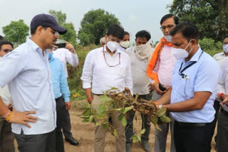 Central team reached Sehore