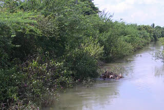 ತುಂಗಾ ಮೇಲ್ದಂಡೆ ಯೋಜನೆ