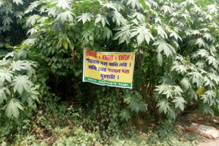 Controversy over sand theft poster against TMC leader3