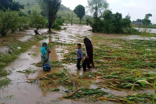 malegaon Kalamdara Bandhara Burst due to heavy rains