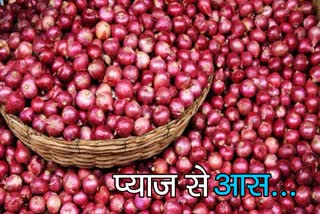 राजस्थान में प्याज की खेती,  Onion cultivation in Rajasthan,  Onion cultivation in alwar