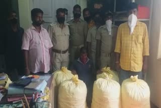 ganja  worth rs 11 lakh seized from bhubaneswar