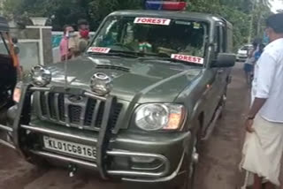 beehive  Forest Department  Bear  populated area  ജനവാസ മേഖല  കല്ലുവാതുക്കൽ  കരടിയിറങ്ങി