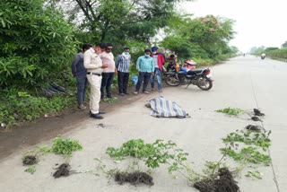 dead-body-of-a-deranged-person-found-on-chakarbhata-national-highway-in-bilaspur