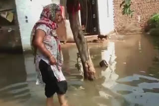 Negligence of canal department employees, excess water left in Rajbaha enters houses in dinanagra